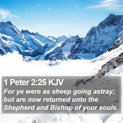 1 PETER CHAPTER 2 KJV .